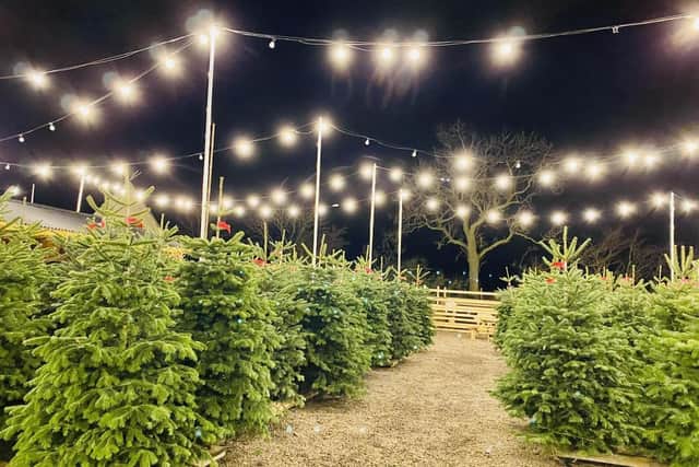 Despite uncertainty about whether the site improvements would be done in time, Welford Christmas Tree Farm is now ready for another festive season.