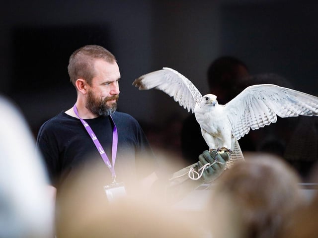 Birds of prey were 'on hand' at STEAM Northants.