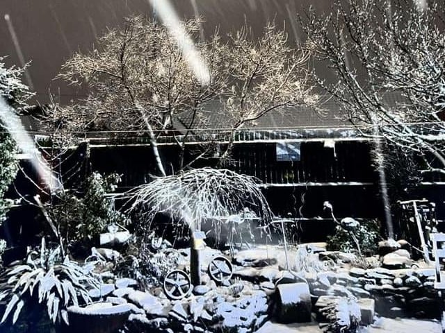 A Northampton garden covered in snow.