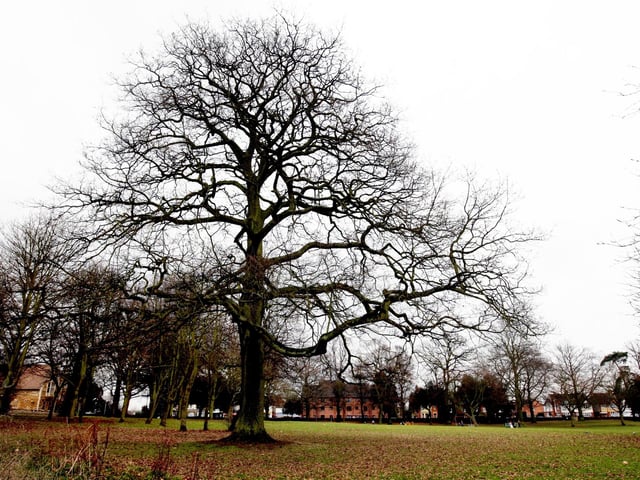 Thornton Park is located in Kingsthorpe, Northampton and is the perfect place for a brief walk