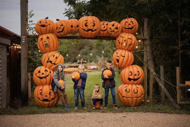 There's plenty of autumn family fun on offer at West Lodge Farm Park near Desborough