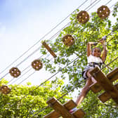 GoApe is set to launch at Salcey Forest soon.
