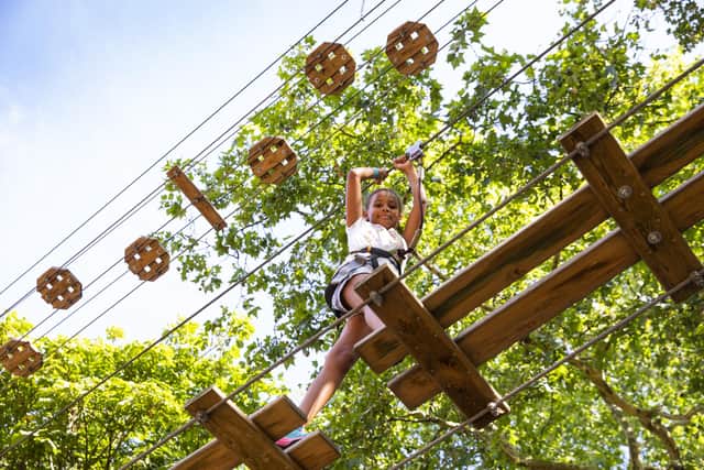 GoApe is set to launch at Salcey Forest soon.