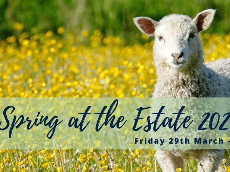 A spring hunt, family crafts, bottle feeding lambs and meeting the Easter bunny are on the cards at Chester House Estate close to Wellingborough. All of the activities are included in one ticket prize, which is £15 per child. Tickets can be booked on the Chester House website.