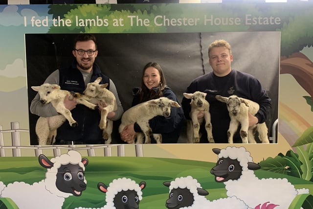 The Wellingborough attraction has a variety of spring activities running for the duration of the Easter holidays. 
A ‘spring passport’ includes bottle feeding lambs, a chocolate workshop and a giant Easter egg hunt.
Search ‘Chester House Estate’ to find out more and to purchase tickets.