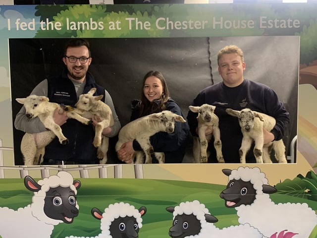 The Wellingborough attraction has a variety of spring activities running for the duration of the Easter holidays.
A ‘spring passport’ includes bottle feeding lambs, a chocolate workshop and a giant Easter egg hunt.
Search ‘Chester House Estate’ to find out more and to purchase tickets.