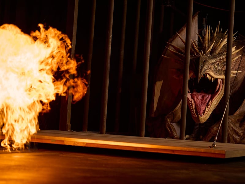 Come face to face with a fire-breathing dragon!
