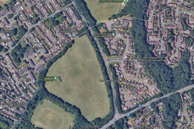 The incident happened in Lingswood Park.