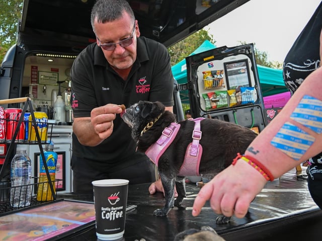 Pugs and their owners travelled across the country to be part of the occasion, which takes inspiration from Coachella festival and returned to Northampton on Sunday (August 23) with a pool party theme.