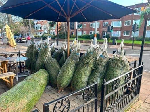Christmas tree delivery!