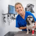 Vet Lisa Flood is sharing tips to help keep pets calm on Bonfire Night.