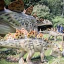 What to expect from the Dinosaurs in the Park event, which is at Delapre Abbey until Sunday September 1, 2024.