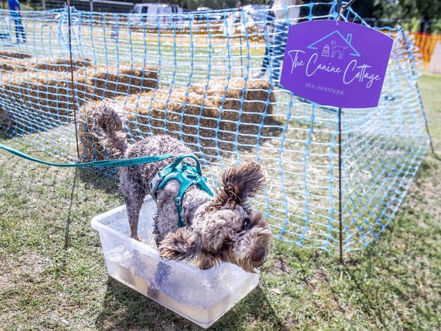 Pooches and owners alike enjoying the popular dog festival on Saturday September 14, 2024.