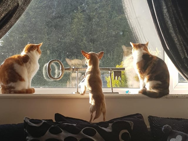 "Always someone shouting around here!"