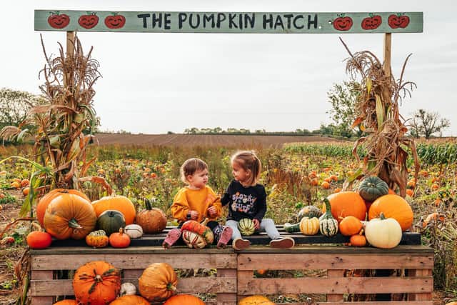 Sunnies & Spooks, located in Bugbrooke Road, is a family-run farm that offers unique days out and is described as perfect for families, friends and everyone in between. Photo: Khandie Photography.