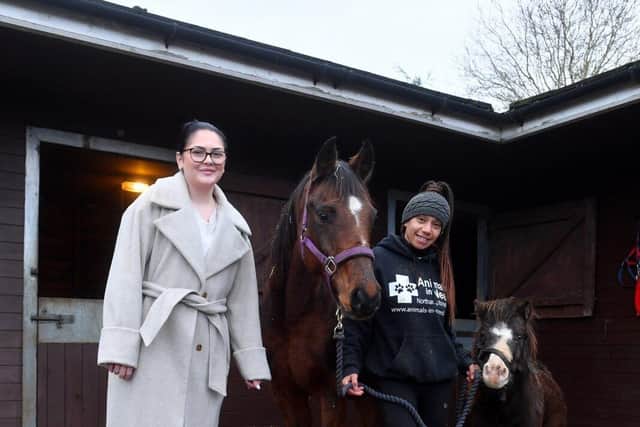 BN - AH-039 - Mollie (L) and Kate with a horse and pony at Animals in Need