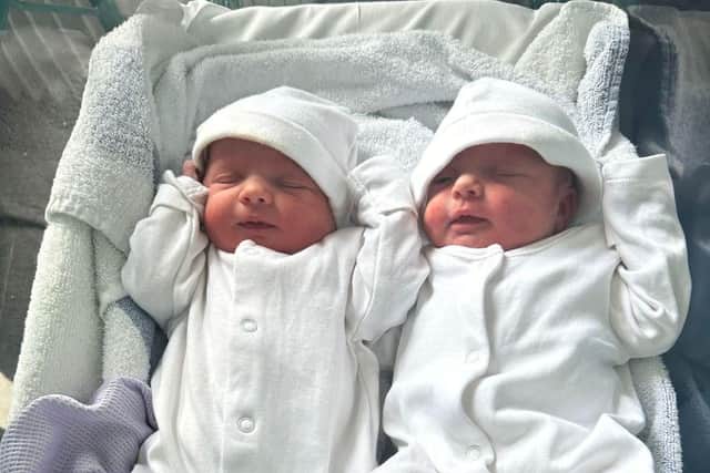 Mimi and Mabel were born a week ago.