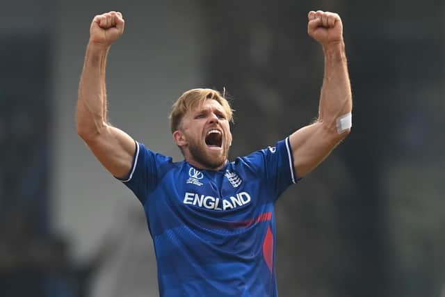 David Willey will again skipper the Steelbacks