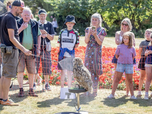 Families visited Delapre Abbey on Sunday August 17 to meet and learn about birds of prey.