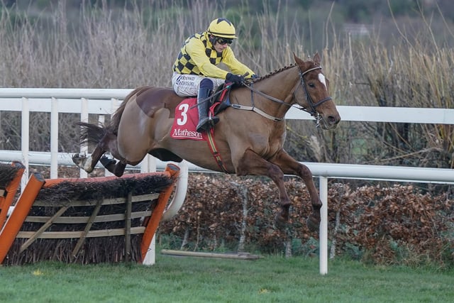 Now that the reigning title-holder Constitution Hill has defected after an infection left him below-par, the new long odds-on favourite for Tuesday's Unibet Champion Hurdle (3.30) is Willie Mullins's brilliant STATE MAN. The 7yo has won ten of his last 11 races, including eight at the highest Grade One level, with his only defeat coming when he was runner-up in last year's Champion. In a poor edition this time, it's hard to find fault with the classy recruit from France, who hasn't put a foot wrong since falling on his first start for Mullins on Boxing Day 2021. He's the banker of the meeting for many, to give jockey Paul Townend his first win in the race.