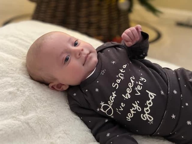 Arlo ready for the festive season.