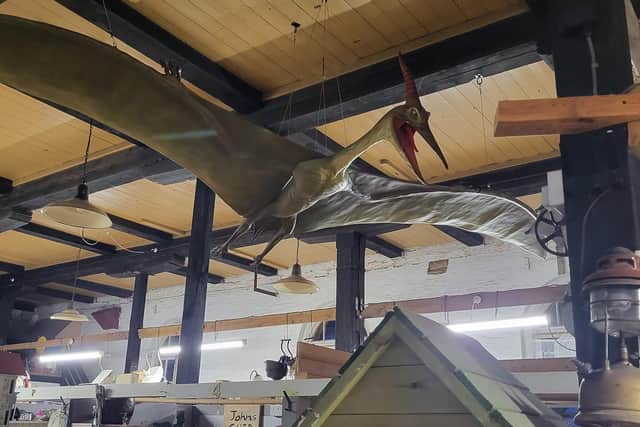 One thing The Antiquarium is well-known for is Petunia the pterodactyl, who now hangs from the antique shop ceiling.