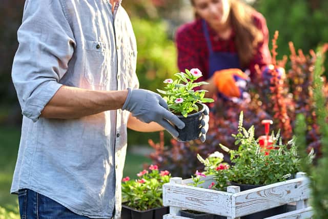 Green-fingered Brits are being given an expert insight into the upcoming garden trends for 2023.