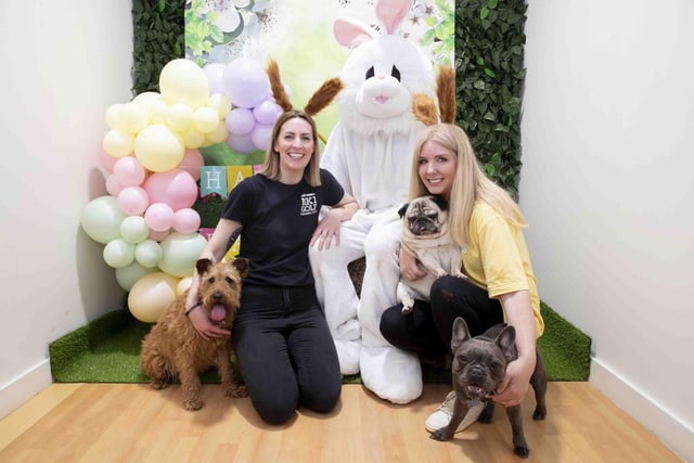 An easter egg hunt for dogs took place at Teddy's Dog Care in Wootton, Northampton on Saturday, April 16.