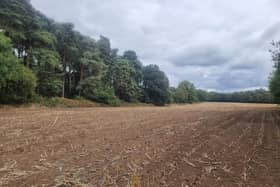 The land  next to Harlestone Firs where 100 homes will be built