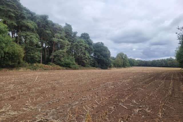 The land next to Harlestone Firs where 100 homes will be built