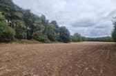The land  next to Harlestone Firs where 100 homes will be built