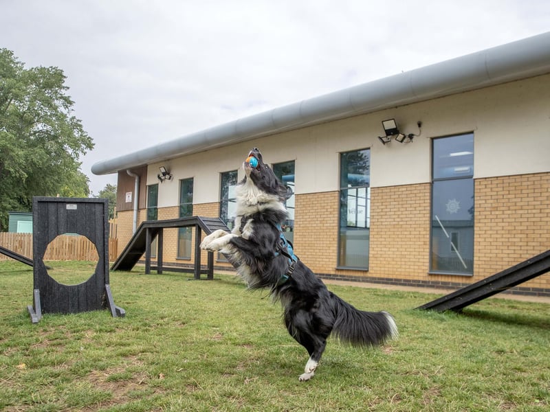 New owners Meadow Bay Villages have already invested £17 million in their first year and unveiled a 10-year plan with a further £100 million investment