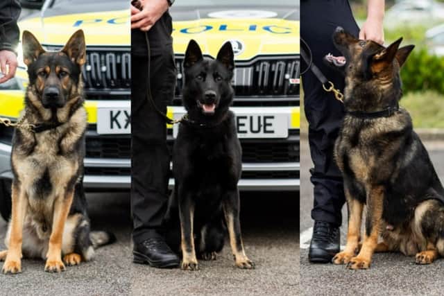 (Left to right): PD Hugo, PD Titan and PD Pedro.