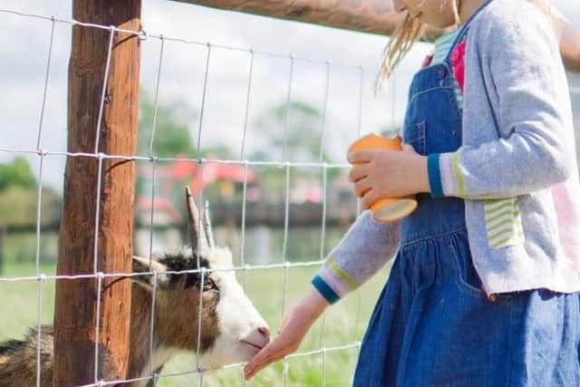 Mini Meadows is dedicated to providing an affordable farm experience that is ethical, educational and entertaining for children and adults alike.