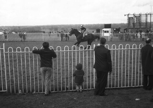 Children look out at the horses at what we think is Towcester Racecourse