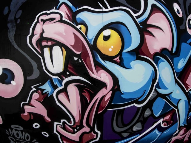 Some of the UK's top graffiti artists sprayed walls and boards in Sol Central, Green Street and St Peter’s Way with the intention to increase community pride and reduce crime