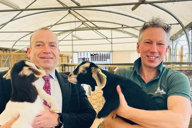 Chris Heaton Harris MP with new born goats at Mini Meadows Farm