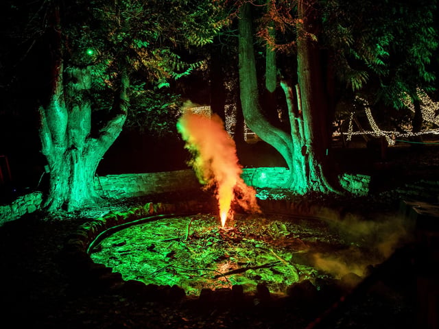 The Winter Light Trail at Delapre Abbey from November 18, 2022 to January 2, 2023.