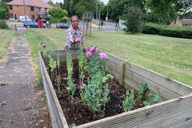 A volunteer at the IHWO gardens