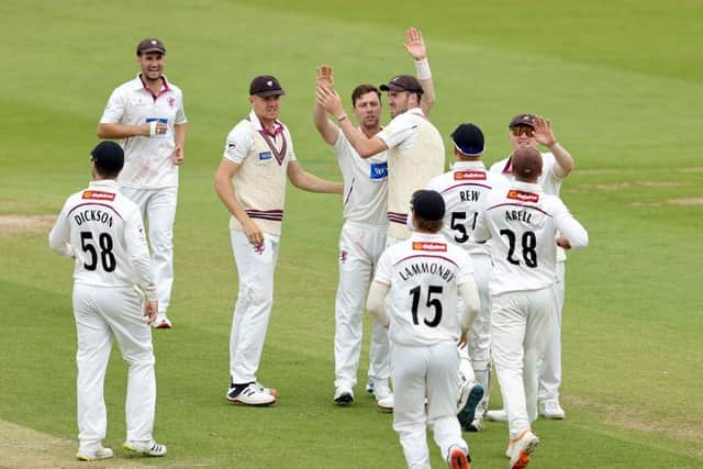 Matt Henry of Somerset celebrates with his team mates after taking the wicket of Luke Procter during the LV= Insurance County Championship Division One match against Northamptonshire (Picture: David Rogers/Getty Images)