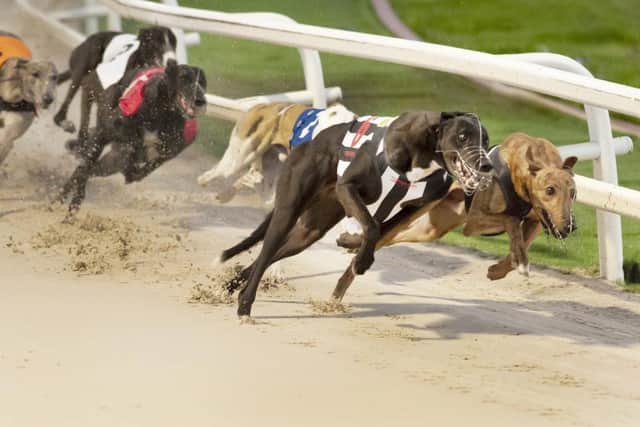 DERBY FINAL FIRST BEND - THORN FALCON (t6) Star Sports and TRC Events & Leisure Derby 2021 (Photo - Steve Nash)