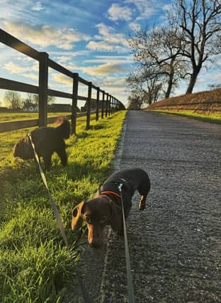 Friends come in all shapes and sizes, as do their friendships.