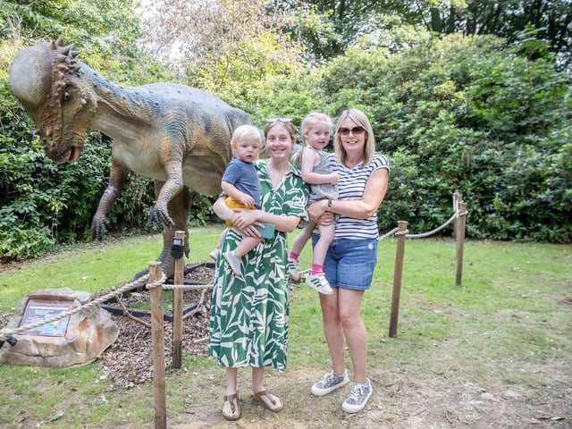 What to expect from the Dinosaurs in the Park event, which is at Delapre Abbey until Sunday September 1, 2024.