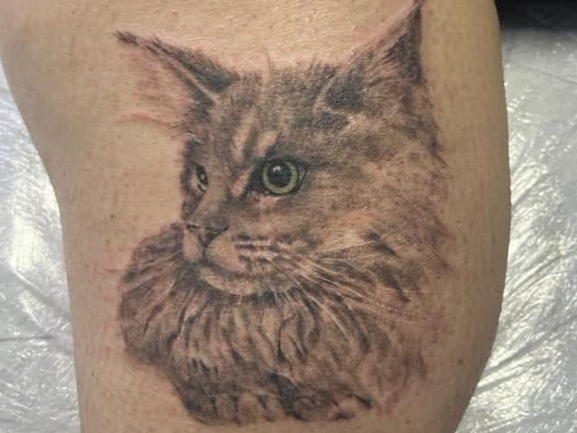 K G House, Unit M4 Kingsfield Way, Dallington, Northampton, NN5 7QS. Br1ght Tattoos was overwhelmingly popular with our readers. One commenter, who shared this photo of her tattoo, said: "This is by Helen and is my cat to the life, she’s insanely talented. Love Molly’s work also. The atmosphere is so chill, it’s definitely the most women-friendly tattoo place I’ve been to, and I’m going back as soon as I’ve saved up!"