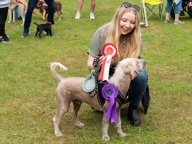 Dog owners turned up on Sunday (June 19) to Animals in Need Northamptonshire's Earls Barton Dog Show