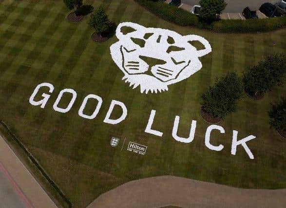 England’s Lionesses got a mighty send-off as they prepare to depart for their biggest tournament of the year - a massive tribute made entirely from towels. The monumental display featuring a roaring Lioness, 41 metres wide and 29 metres high is made of nearly 10,000 fanned, folded and rolled towels.