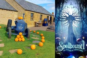 Chester House is celebrating Halloween with a handful of activities