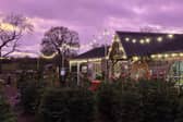 New research from FitFlop has uncovered the UK’s best Christmas tree farms, ranked across 100 locations nationwide, and Welford Christmas Tree Farm placed fourth.