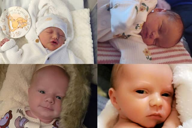 Some of the adorable newborns who will call Northampton their home...