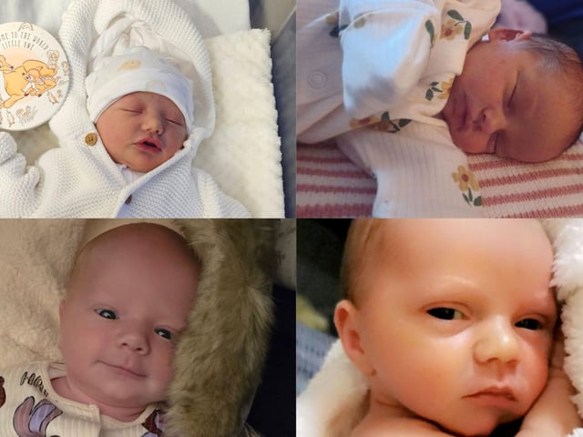 Some of the adorable newborns who will call Northampton their home...